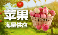 1672EDA4-D8B9-4BED-AC73-1FB8CF50C508
